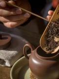 桂花茶储存方法